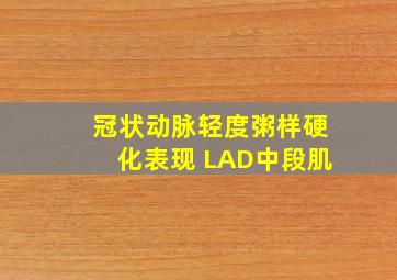 冠状动脉轻度粥样硬化表现 LAD中段肌